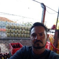 Cão Abimael Acab De Olveira