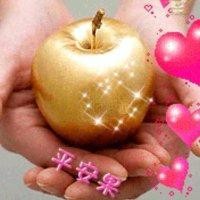 赵有林