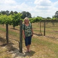 Cindy Martin