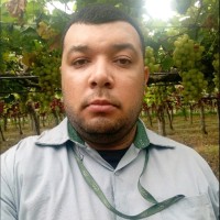 Radamés nascimento