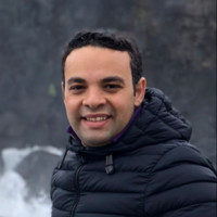 Mohamed AbouElEnin