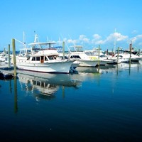 Borden Light Marina
