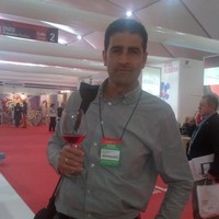 Vicente Javier Llinares Lavado