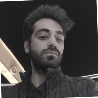 Mohammad Saeed Kamali