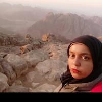 Alaa Nayef