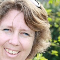 Linda van Summeren, RDO