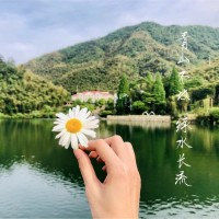 叶彩霞