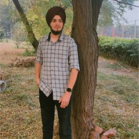 ARSHVEER SINGH