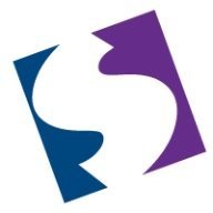Simple Survey Solutions