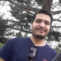 Nima Asle Zaeim