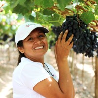 Martha Vallejos Peves