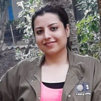 Bibi Salima