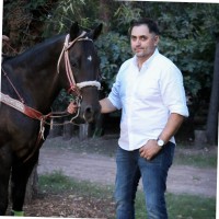 Frank Rivas, Cpa, Cisa, Cfe