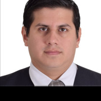 David Andrés Brito Maldonado