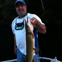 ARMANDO Armando Matos