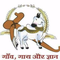 Savin Bhongra