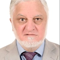MUHAMMAD NASIR AMEER