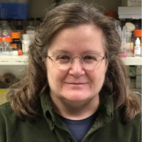 Susan Parkhurst