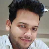 Vivek Singh Rajput