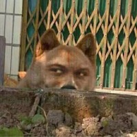 余文兵