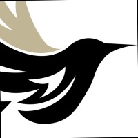 Black Bird