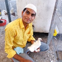 Mohammed Ismail Khan