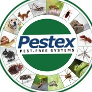 PESTEX .