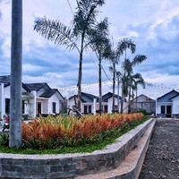 Adam Budianto