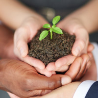 Breakthrough Consultancy