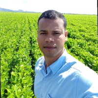 Raphael Acioli