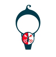 De Kleine Consultant Leiden