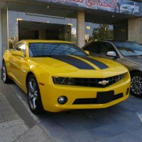 عامر العوامله