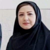 Somayeh Gohariyan