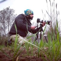 Ali Shazii