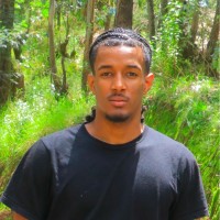 David Negash