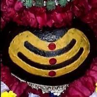 Sonu Singh