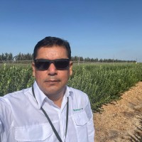 DANIEL MALAGA