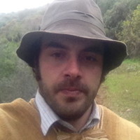 Juano Navarro