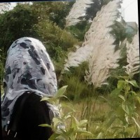 Shahida Ifrad Riya