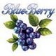 Blueberry Impex Co Ltd