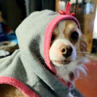 Letty Barkley