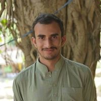 Syed Muhammad Kumail Abbas