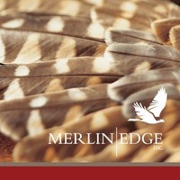 Merlin Edge Inc.