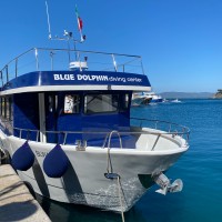 BLUE DOLPHIN DIVING CENTER