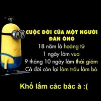 Linhtuty Linh