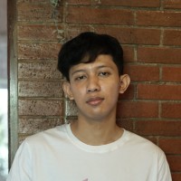 Nafa Zulfa