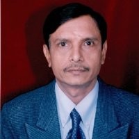 V Sreenivas