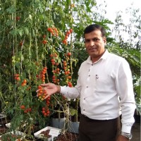 Sanjay Khutwad