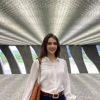 Júlia Assi Ronconi
