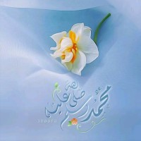 علي ابوبكر علي احمد